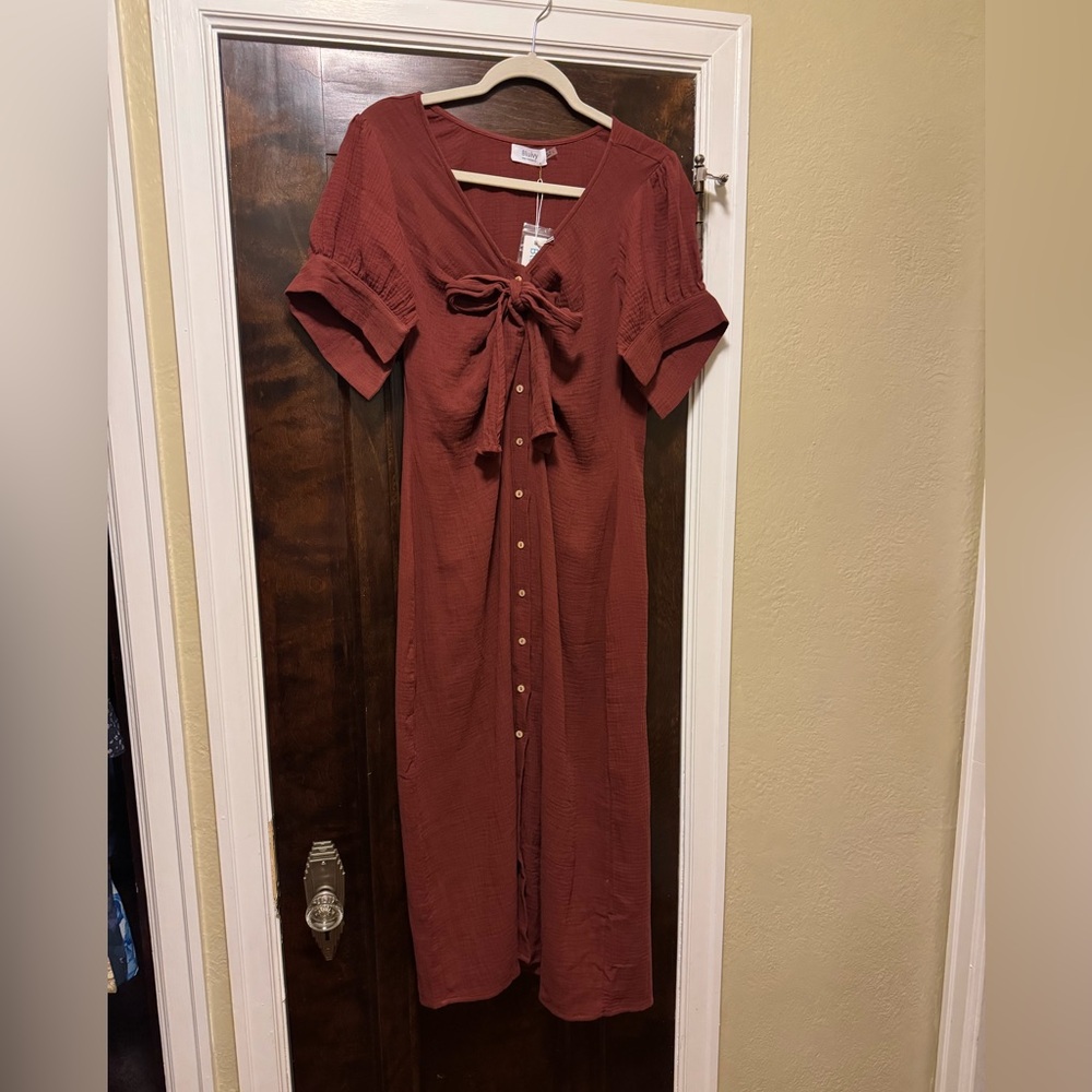 Bluivy Terracotta Button-Front Midi Dress